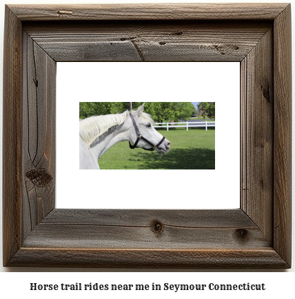 horse trail rides near me in Seymour, Connecticut